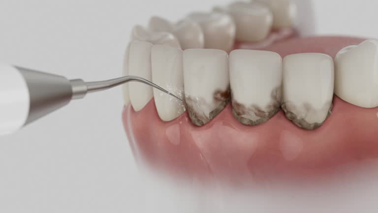 Reliable Dental contractor in North Kingsville, OH by Dentist Open Now